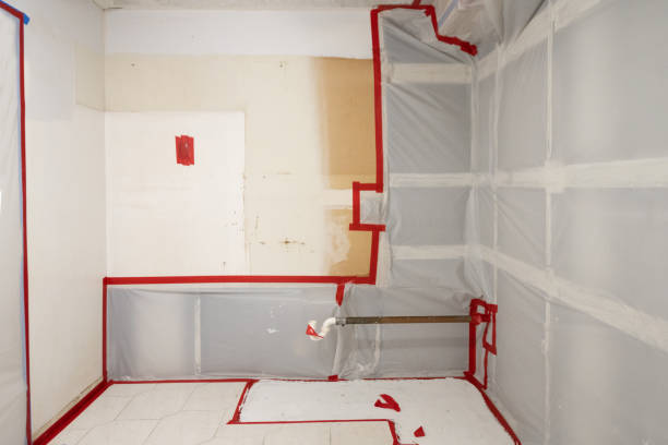 Best Black Mold Removal  in Turners Falls, MA