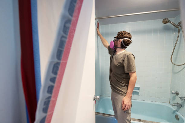 Best Residential Mold Inspection & Testing  in Turners Falls, MA